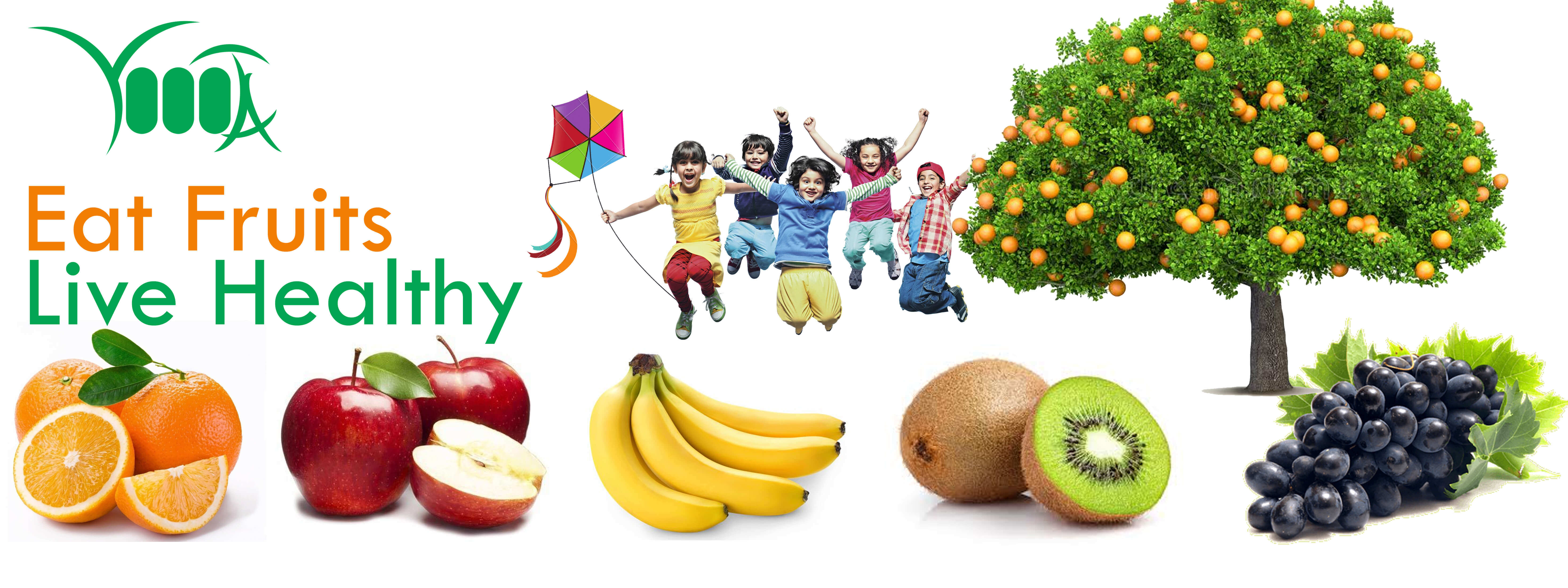 Online Grocery Shopping in Coimbatore, Tamil Nadu, India Online