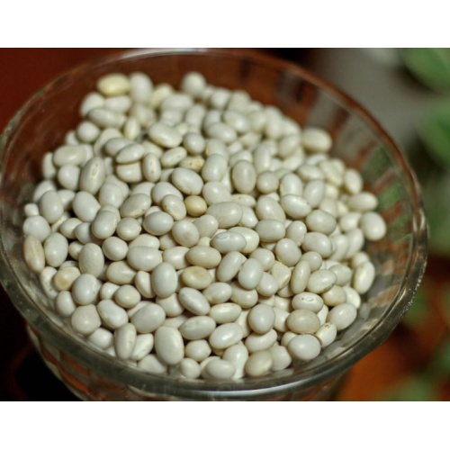 Idly Soya 100g